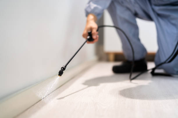Licensed Fumigation Services service in Madison County County, IL - Nex Pest Control